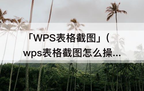 「WPS表格截图」(wps表格截图怎么操作快捷键)