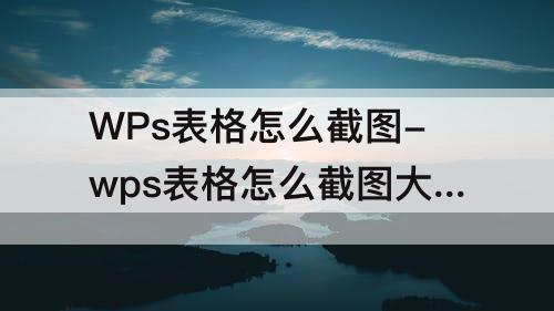 WPs表格怎么截图-wps表格怎么截图大范围的内容