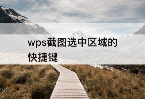 wps截图选中区域的快捷键