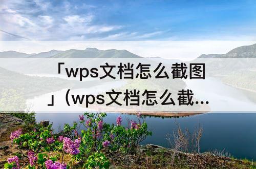 「wps文档怎么截图」(wps文档怎么截图选中区域)