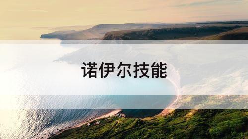诺伊尔技能
