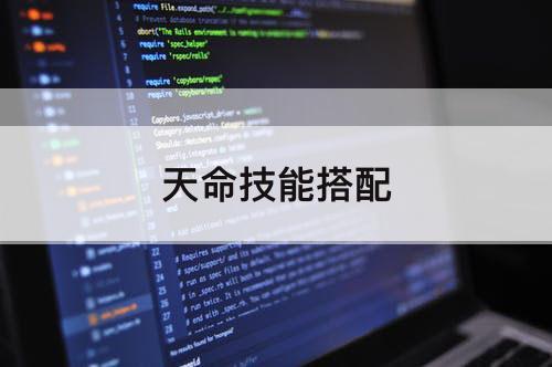 天命技能搭配