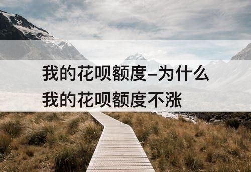 我的花呗额度-为什么我的花呗额度不涨