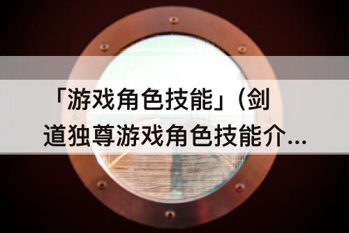 「游戏角色技能」(剑道独尊游戏角色技能介绍)