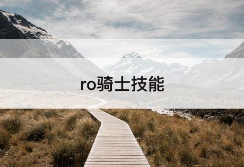 ro骑士技能