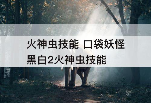 火神虫技能 口袋妖怪黑白2火神虫技能
