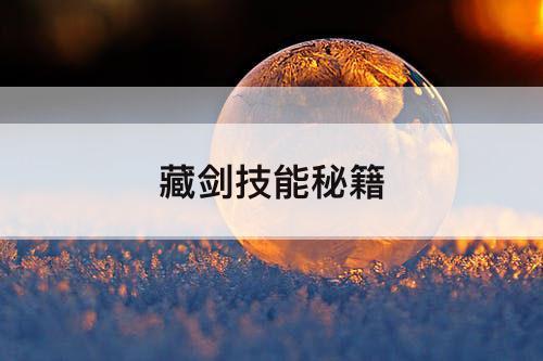 藏剑技能秘籍