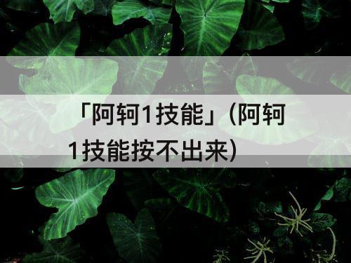 「阿轲1技能」(阿轲1技能按不出来)