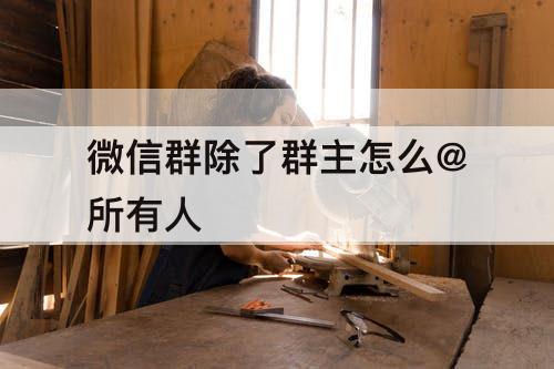 微信群除了群主怎么@所有人