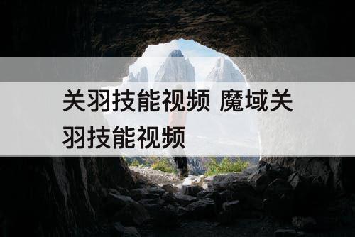 关羽技能视频 魔域关羽技能视频