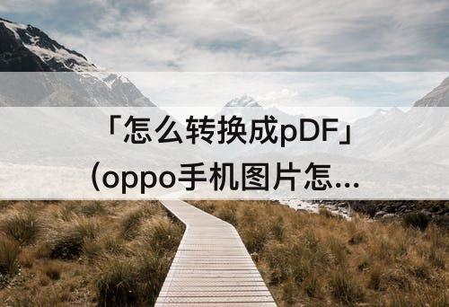 「怎么转换成pDF」(oppo手机图片怎么转换成pdf格式)