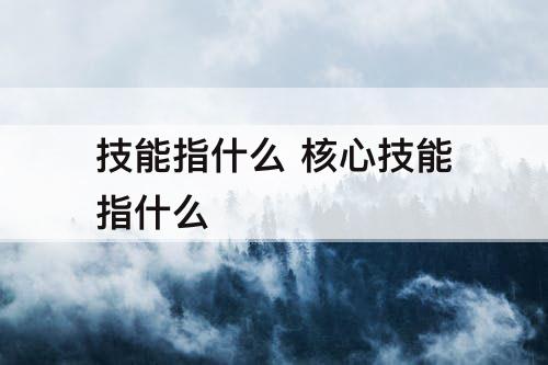 技能指什么 核心技能指什么