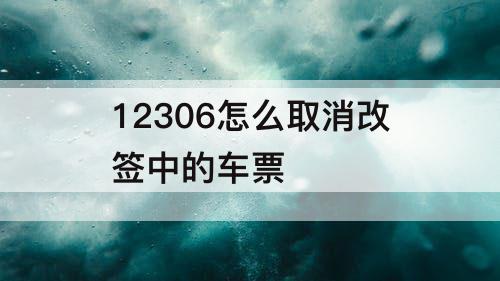 12306怎么取消改签中的车票