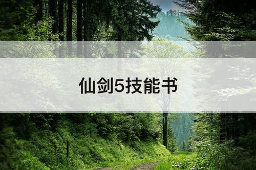 仙剑5技能书