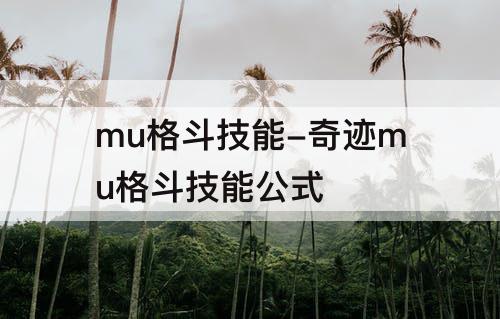 mu格斗技能-奇迹mu格斗技能公式