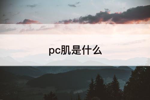 pc肌是什么