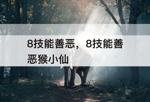 8技能善恶，8技能善恶猴小仙