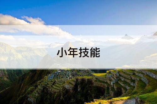 小年技能