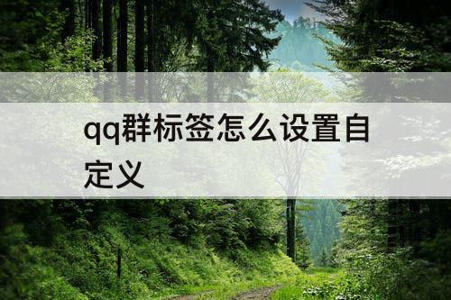 qq群标签怎么设置自定义
