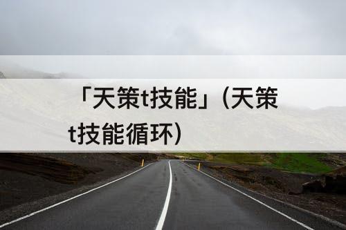 「天策t技能」(天策t技能循环)
