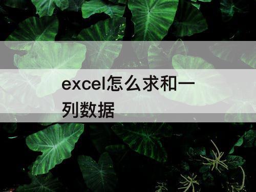 excel怎么求和一列数据