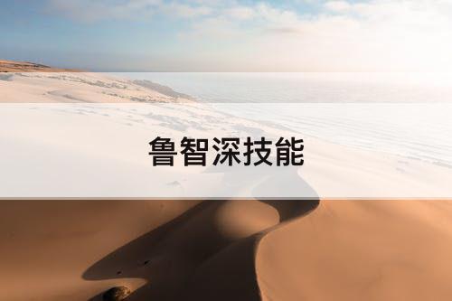 鲁智深技能