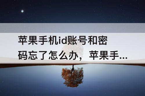 苹果手机id账号和密码忘了怎么办，苹果手机id账号和密码忘了怎么办12.55