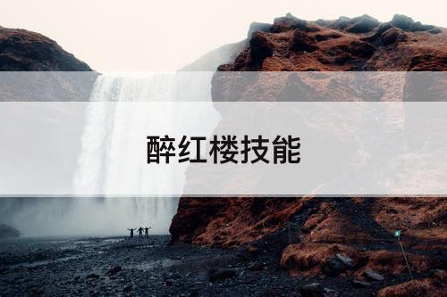 醉红楼技能