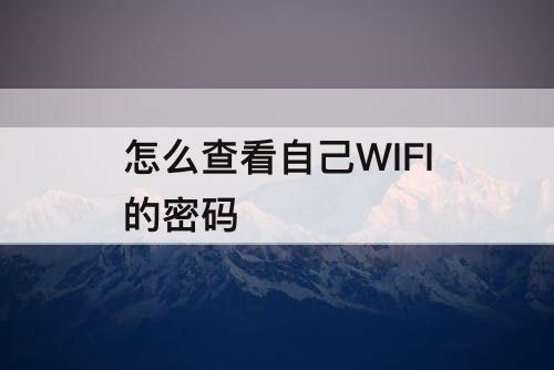 怎么查看自己WIFI的密码