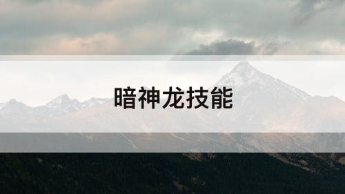 暗神龙技能