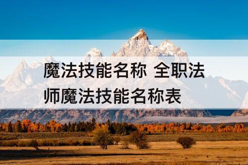 魔法技能名称 全职法师魔法技能名称表