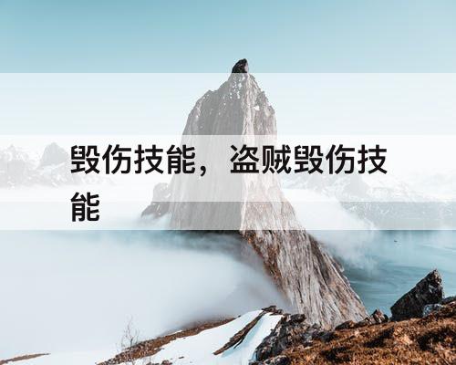 毁伤技能，盗贼毁伤技能
