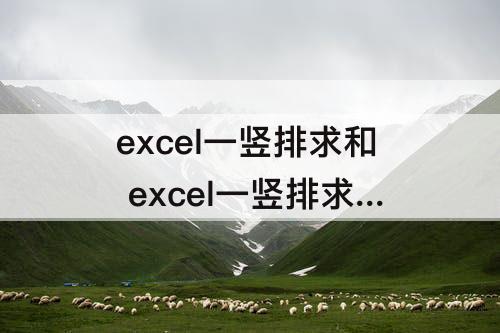 excel一竖排求和 excel一竖排求和错误