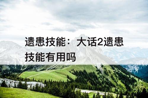 遗患技能：大话2遗患技能有用吗