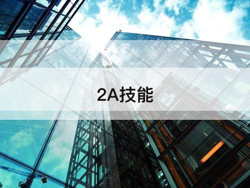 2A技能