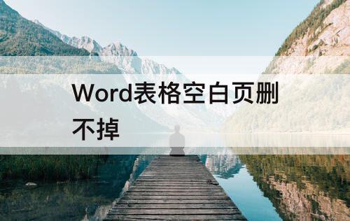 Word表格空白页删不掉