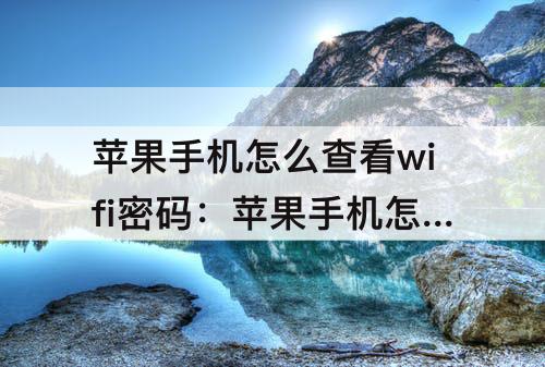 苹果手机怎么查看wifi密码：苹果手机怎么查看wifi密码二维码