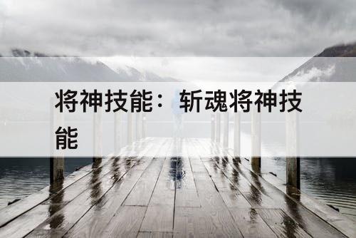 将神技能：斩魂将神技能