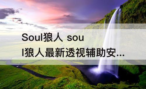 Soul狼人 soul狼人最新透视辅助安卓