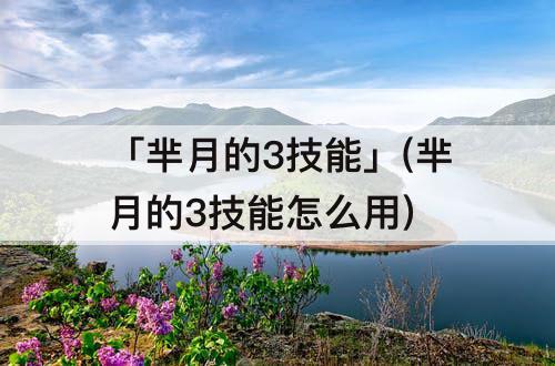 「芈月的3技能」(芈月的3技能怎么用)