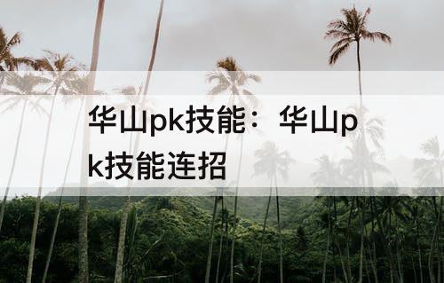 华山pk技能：华山pk技能连招