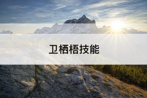 卫栖梧技能