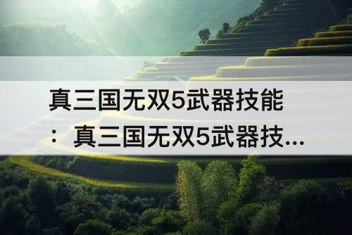 真三国无双5武器技能：真三国无双5武器技能有几个