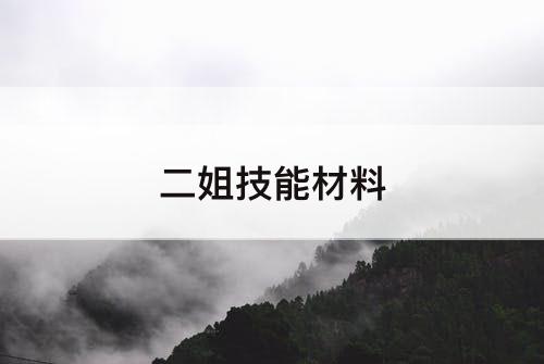 二姐技能材料