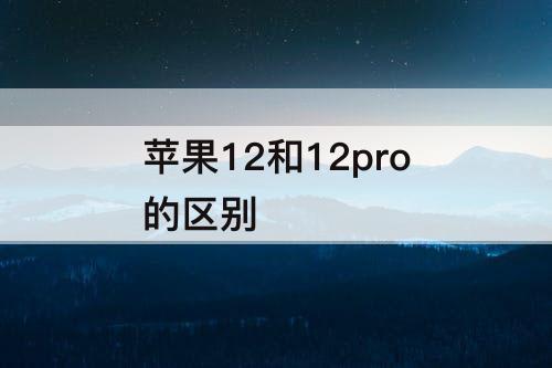 苹果12和12pro的区别