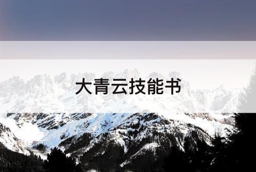 大青云技能书