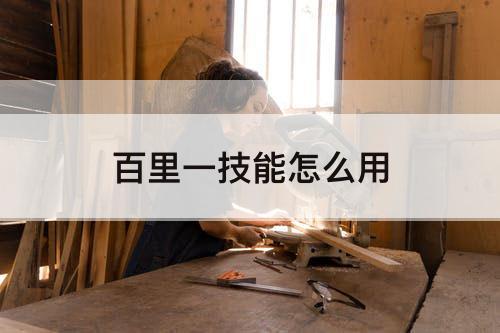 百里一技能怎么用