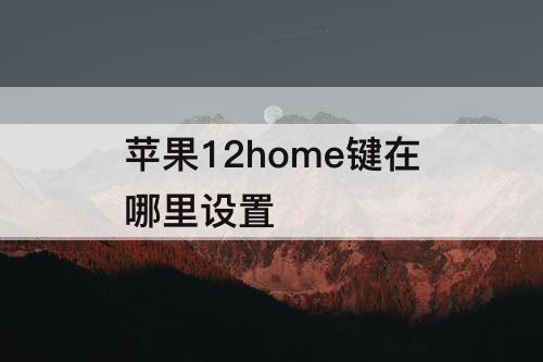 苹果12home键在哪里设置