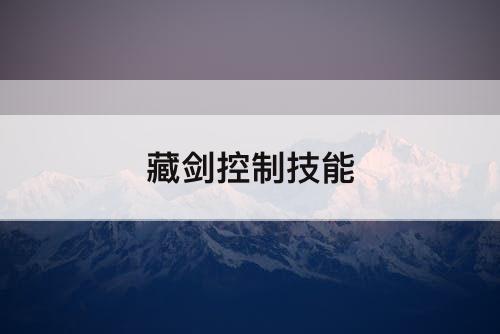 藏剑控制技能