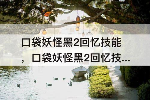 口袋妖怪黑2回忆技能，口袋妖怪黑2回忆技能地点